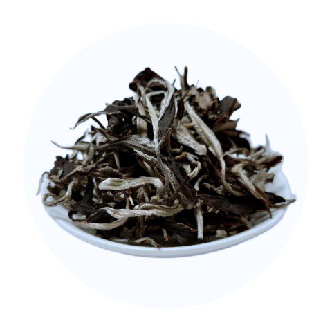 Bạch Trà Thiên Thái B - Trà Shan Tuyết Cổ Thụ 1 búp 1 lá Suối Giàng (Yên Bái)